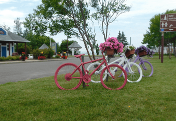 Des vélos fleuris